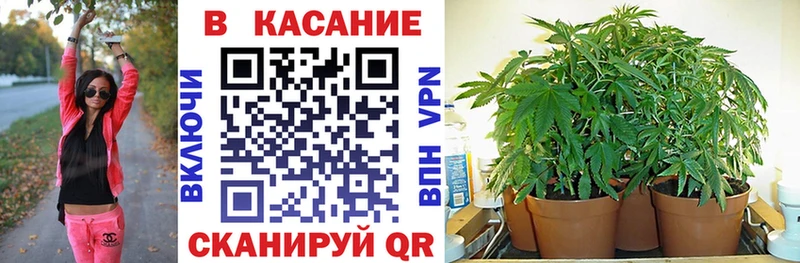 Купить наркотики Сердобск Бошки Шишки  Амфетамин  Псилоцибиновые грибы  ГАШ  Меф мяу мяу  A PVP  КОКАИН 