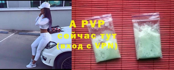 крисы Майский