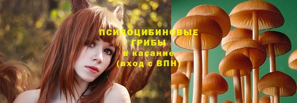 apvp Магас