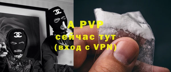 крисы Майский