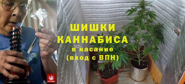 крисы Майский