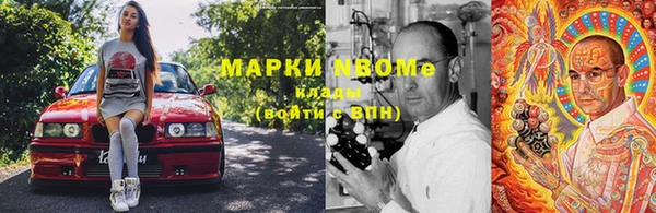 крисы Майский